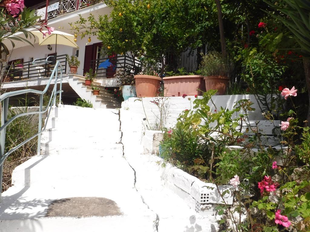 Villa Delfini Vassiliki Esterno foto