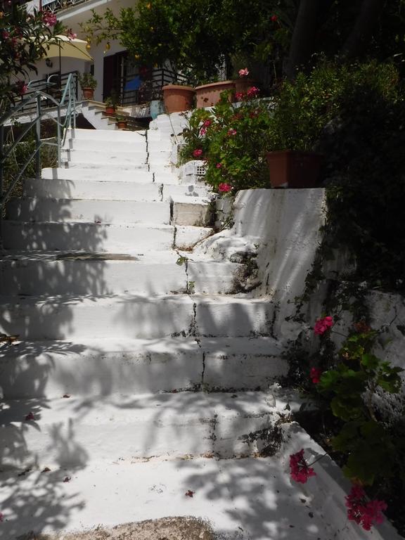 Villa Delfini Vassiliki Esterno foto