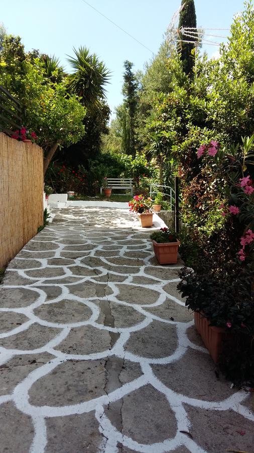 Villa Delfini Vassiliki Esterno foto